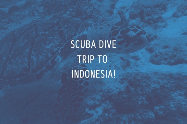 The Indonesia SCUBA dive trip was a huge success!