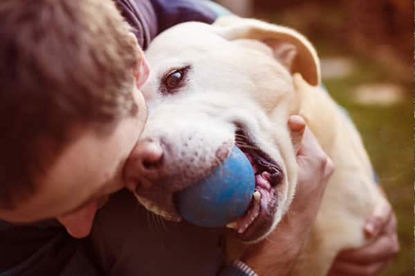 VA Loan with Yard for the Dog